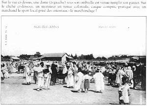 SBA LE MARCHE 04